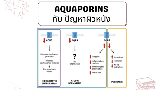 Aquaporins กับ ปัญหาผิวหนัง